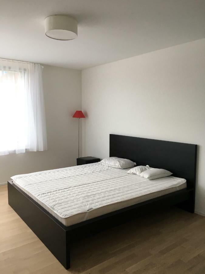 Close To Zuerich Centre And Airport Kloten Exterior foto